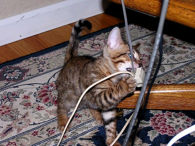 Learning something naughty!